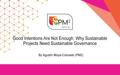 Good-Intentions-Are-Not-Enough-Why-Sustainable-Projects-Need-Sustainable-Governance